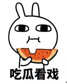 娱乐吃瓜君右上角有什么,右上角隐藏的秘密